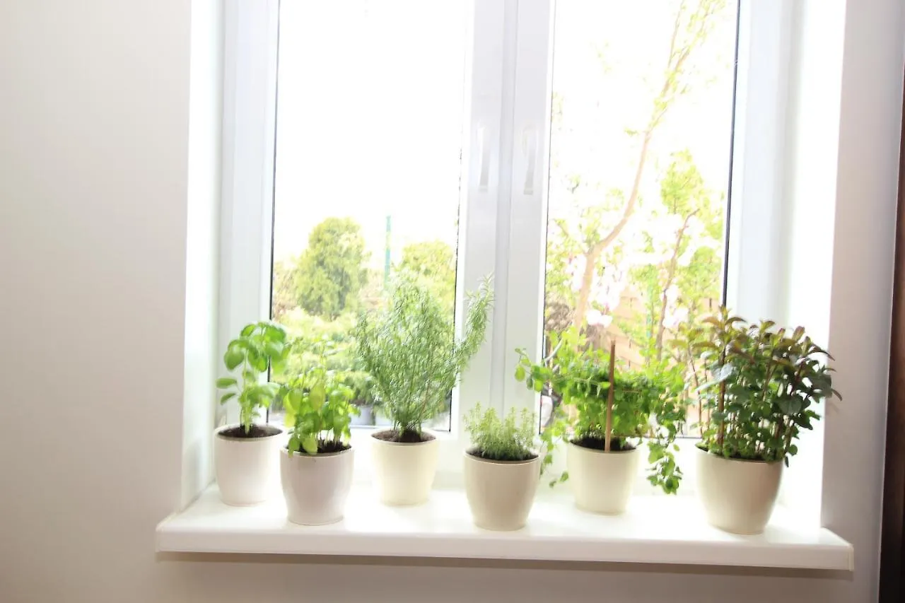Apartament Z Ogrodem I Grillem. Apartment